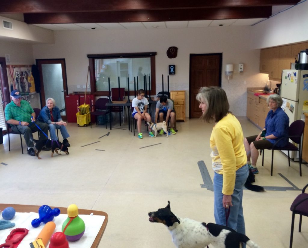 Dog Training Class