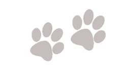 pramaDOGS Weekly Classes