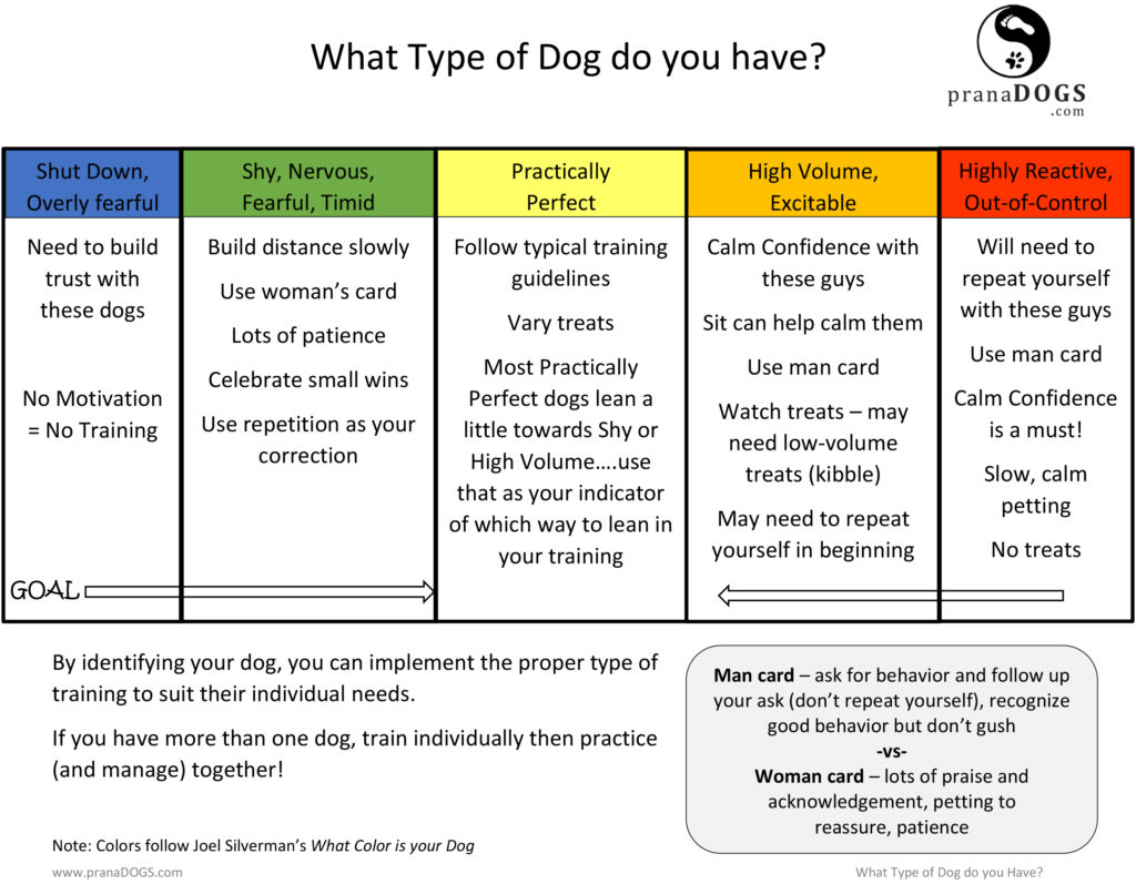 What type of dog do you have?