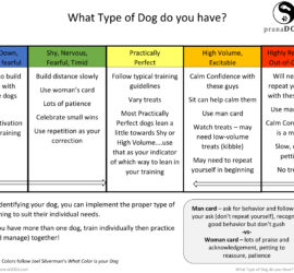 What type of dog do you have?