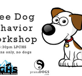 free dog behavior workshop