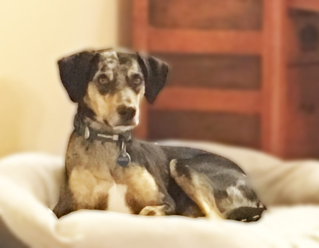 Fundamentals Classes