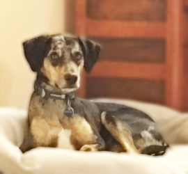 Fundamentals Classes