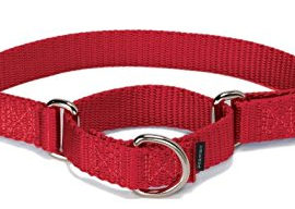 martingale collar