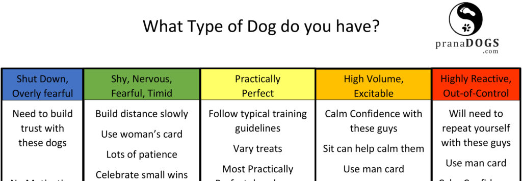 What type of dog do you have?