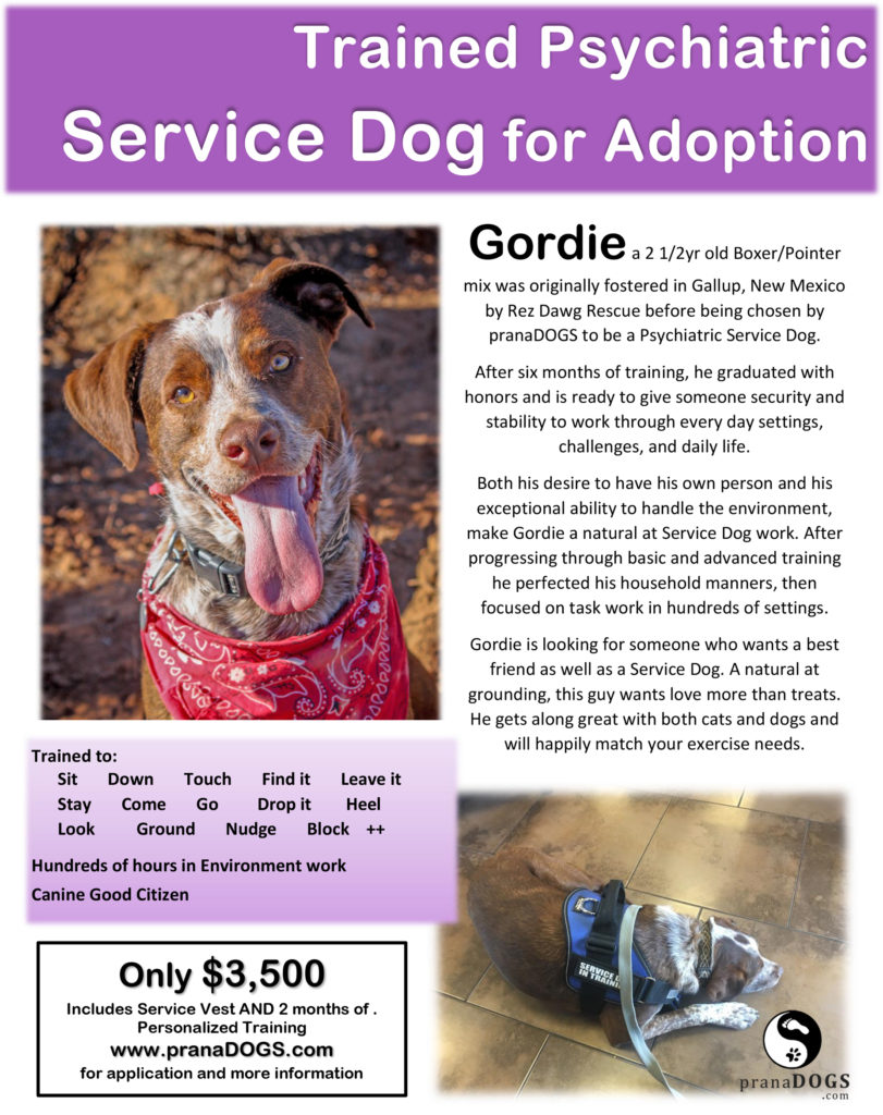 Trained Psychiatric Service Dog for Adoption